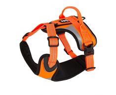 Hurtta Active/Dazzle Geschirr für Hunde
