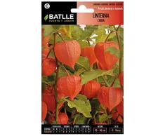 Samen de Flores – Laterne China – Batlle