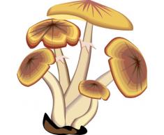 INDIGOS 4051719838893 Wandtattoo ME195 Pilze Rausch Delirium Suppe Party Steinpilz Pfifferling Fliegenpilz 40 x 38 cm