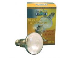 Namiba Terra 1679.0 Replux Halogen UV D3 Jungle, Strahler, 70 Watt, UVA+UVB+Infrarot-Flood E 27, R80, für Ganztagbestrahlung, 220-240 Volt