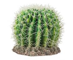 Hobby 37007 Kaktus Sonora, L