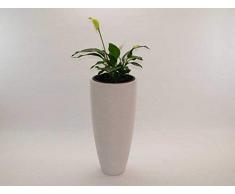 Pflanzkübel Blumenkübel Blumentopf Fiberglas rund konisch D30xH60cm perlmutt weiß.