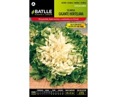 Batlle Gemüsesamen - Garten Endivien Salat Riesig - Hortelana (4800 Samen)