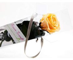 Rosen-Te-Amo – Konservierte echte Pfirsichfarbene Rose mit Grußkarte zum Herunterladen; Infinity Rosen - Deko und Geschenk - Unvergängliche Blume perfekt für Hotel-Deko