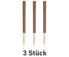 Windhager Pflanzstab Kokos Set, Rankstab, Rankhilfe, Blumenstab, Kokosstab, zur Dekoration, aus natürlicher Kokosfaser, verlängerbar, 3 Stück, 110 cm, 89129, braun