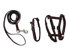 Kerbl 83785 Set aus Halsband, Geschirr und Leine für Katzen reflektierend
