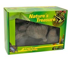 Lucky Reptile DB-01 Natures Treasure Deko Box, Dekoration aus Naturmaterialien