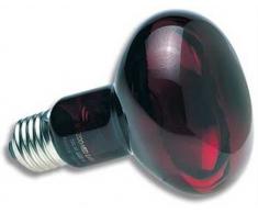 Zoo Med RS-150E Nocturnal Infrarot Strahler, 150W, Wärmequelle und Beleuchtung für Terrarien