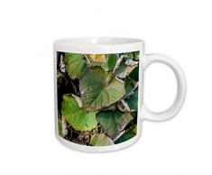 3dRose 297406_1 Mug Becher, keramik, weiß