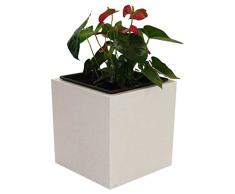 Pflanzkübel Blumenkübel Blumentopf Fiberglas Quadrat LxBxH 48x48x48cm perlmutt weiß.