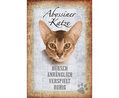 Schatzmix Katze steckbrief: Abyssiner Katze - hübsch, anhänglich, verspielt, ruhig Metal Sign deko Schild Blech Garten