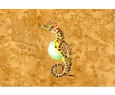 Caroline s Treasures 8640plmt Seepferdchen Stoff Tisch-Sets, multicolor