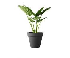 elho pure Round 60 Blumentopf – Rundes Pflanzengefäß in Anthrazit – Moderne Dekoration für Indoor & Outdoor – Ø 59,1 x H 53,6 cm