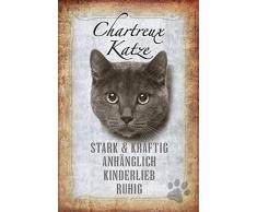 Schatzmix Katze steckbrief: Chartreux Katze - stark & kräftig, anghänglich, kinderlieb, ruhig Metal Sign deko Schild Blech Garten