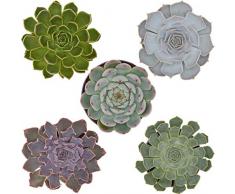 Pasiora Echeveria Mix im 10,5cm Topf, verschiedene mittelgroße Pflanzen, Rosetten Geschenkset (5 Stück)