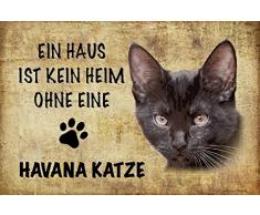 Schatzmix EIN Haus ist kein heim ohne eine Havana Katze Metal Sign deko Schild Blech Garten