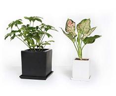 Moderne Minimalismus matt glänzend Keramik Blumentopf quadratisch/Blumentopf 10,2 cm weiß & 16 cm schwarz in in-Pflanztopf mit Ablaufloch und abnehmbarer Keramik Untertasse, Set von 2