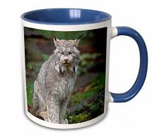 3dRose 258028_6 Mug Becher, keramik, blau/weiß