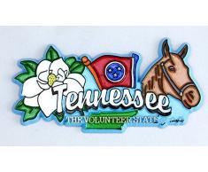 Tennessee State Elements Kühlschrank Collectible Souvenir Magnet