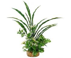 Blue Ribbon Color Burst Pflanzen für Aquarien, Fiesta Bush-Pflanze, grün