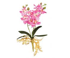Namiba Terra 5873 Orchidee mit 10 lilafarbenen Blüten und Wurzeln, 36 cm