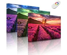 Leuchtbild mit LED Hintergrundbeleuchtung - Traumhafte Lavendel Provence mit einsamen Baum - 80 x 60 cm - fully lighted - MADE IN GERMANY