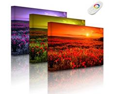 Lightbox-Multicolor | LED Bild Leuchtbild | Mohnblütenfeld bei traumhaftem Sonnenuntergang | 100x70 cm | Fully Lighted
