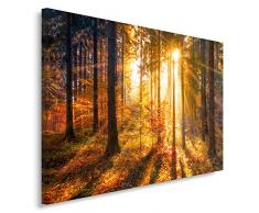 Feeby, Leinwandbild, Bilder, Wand Bild, Wandbilder, Kunstdruck 80x120cm, WALD, BAUM, NATUR, SONNE, BRAUN