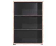 Germania 1693-58 Aktenregal GW-Duo in der Farbe Anthrazit, 75 x 115 x 38 cm (BxHxT)