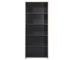 Germania 1695-58 Aktenregal GW-Duo in der Farbe Anthrazit, 75 x 185 x 38 cm (BxHxT)