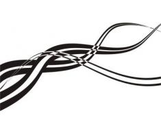 INDIGOS WG30219-90 Wandtattoo w219 Tribal Blume Pflanze Wandaufkleber 120 x 64 cm, silber