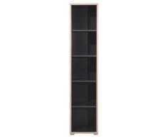 Germania 1698-58 Aktenregal GW-Duo in der Farbe Anthrazit, 40 x 185 x 38 cm (BxHxT)