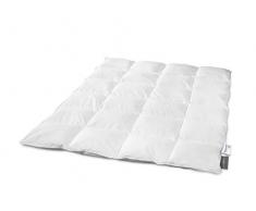 Traumnacht Basis Daunendecke, warm, 200 x 200 cm, 90% Daunen und 10% Federn
