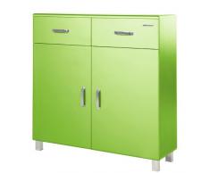 Miami 725701GR Schuhschrank mit 2 Türen und 2 Schubladen, Holz, grün, 37 x 110 x 111 cm
