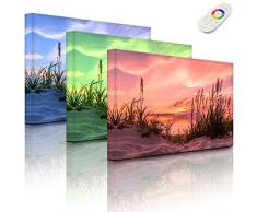Leuchtbild LED Leinwandbild mit einstellbarer Leuchtfarbe - Bild mit Beleuchtung (Hintergrundbeleuchtung) - Gras am Strand bei Sonnenuntergang - 60 x 40 cm - fully lighted - MADE IN GERMANY