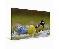 Premium Textil-Leinwand 75 x 50 cm Quer-Format Kohlmeise mit Ostereier | Wandbild, HD-Bild auf Keilrahmen, Fertigbild auf hochwertigem Vlies, Leinwanddruck von Lutz Klapp