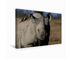 Premium Textil-Leinwand 45 x 30 cm Quer-Format Nashorn im Ol Pejeta Conservancy Kenia | Wandbild, HD-Bild auf Keilrahmen, Fertigbild auf hochwertigem Vlies, Leinwanddruck von Michael Herzog