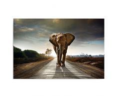 Feeby, Leinwandbild, Bilder, Wand Bild, Wandbilder, Kunstdruck 50x70cm, ELEFANT, BRAUN, GRAU, GRÃN