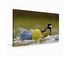 Premium Textil-Leinwand 90 x 60 cm Quer-Format Kohlmeise mit Ostereier | Wandbild, HD-Bild auf Keilrahmen, Fertigbild auf hochwertigem Vlies, Leinwanddruck von Lutz Klapp