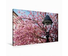 Premium Textil-Leinwand 90 x 60 cm Quer-Format Laterne vor Zierkirschenblüten | Wandbild, HD-Bild auf Keilrahmen, Fertigbild auf hochwertigem Vlies, Leinwanddruck von Wolfgang Reif