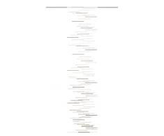 Home Fashion Schiebevorhang Leinenstruktur Scherli, Polyester, Cappuccino, 245 x 60 cm