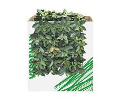 Verdemax 5635 50 x 50 cm verdecor Heckenschere mit Blättern wie Glanzmispeln
