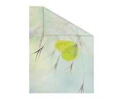 Lichtblick Fensterfolie 50 x 50 cm mit Motiv Schmetterling - Grün, Selbstklebender Sichtschutz ohne Bohren, blickdichtes Fensterdekor, für alle Glasflächen