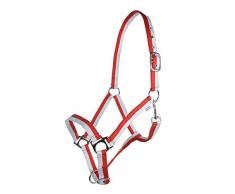 HKM Nylonhalfter -Flags- mit Karabinerhaken, Flag Poland, Vollblut