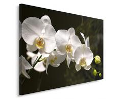 Feeby Frames, Leinwandbild, Bilder, Wand Bild, Wandbilder, Kunstdruck 70x100cm, ORCHIDEEN, BLUMEN, MAKRO, WEIÃ, SCHWARZ