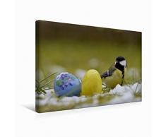 Premium Textil-Leinwand 45 x 30 cm Quer-Format Kohlmeise mit Ostereier | Wandbild, HD-Bild auf Keilrahmen, Fertigbild auf hochwertigem Vlies, Leinwanddruck von Lutz Klapp