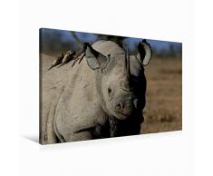Premium Textil-Leinwand 90 x 60 cm Quer-Format Nashorn im Ol Pejeta Conservancy Kenia | Wandbild, HD-Bild auf Keilrahmen, Fertigbild auf hochwertigem Vlies, Leinwanddruck von Michael Herzog