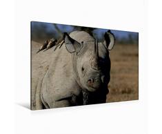 Premium Textil-Leinwand 120 x 80 cm Quer-Format Nashorn im Ol Pejeta Conservancy Kenia | Wandbild, HD-Bild auf Keilrahmen, Fertigbild auf hochwertigem Vlies, Leinwanddruck von Michael Herzog