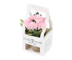 Closer 2 Nature Artificial Flower, Künstliche Mini Garten Chrysantheme in Geschenk Box, 18 cm, rosa
