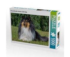 CALVENDO Puzzle EIN prachtvoller Tricolour Collie Rüde 1000 Teile Lege-Größe 64 x 48 cm Foto-Puzzle Bild von Sigrid Starick